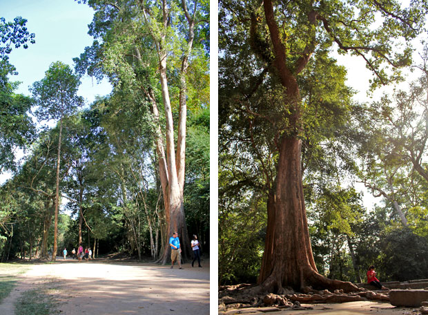 Angkor Wat and Our Search for Siem Reap's Happy Pizza