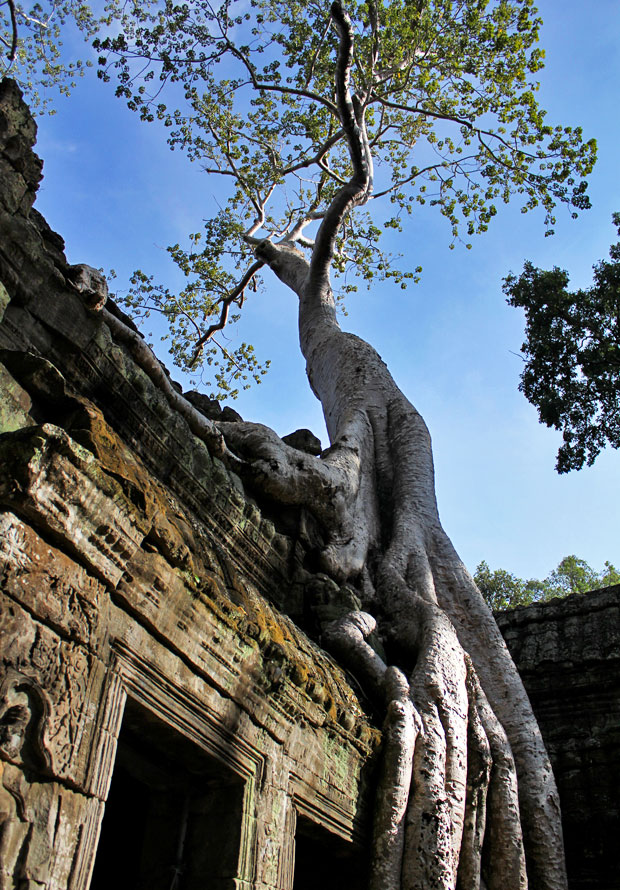 Angkor Wat and Our Search for Siem Reap's Happy Pizza