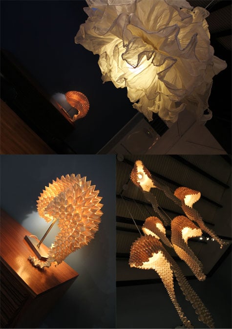 Organic lighting fixtures