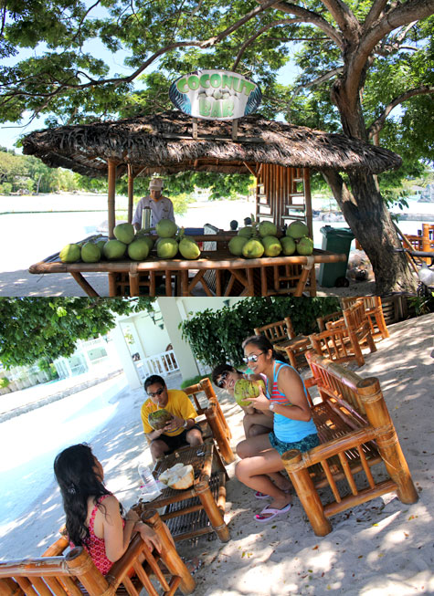 Drinking fresh coconuts at Plantation Bay