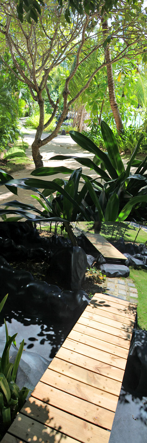 Heavily wooded paths at Plantation Bay in Cebu