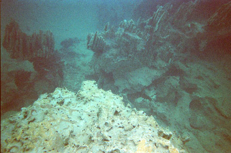Underwater remnants of Kayangan Lake