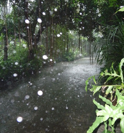 Strong rain at Kainan sa Dalampasigan
