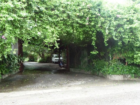 Entryway to Kainan sa Dalampasigan obscured by thick foliage