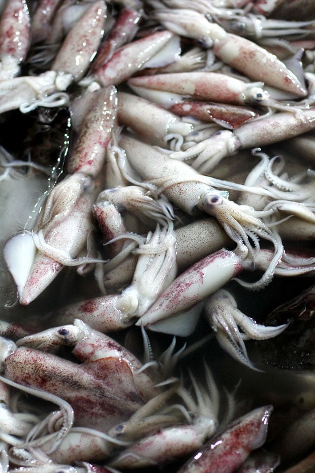 Seafood Friday at Dampa sa Farmer's Market