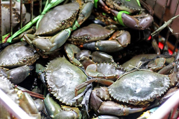 Seafood Friday at Dampa sa Farmer's Market