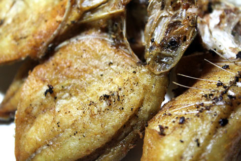 Close up photo of a savory Lamayo