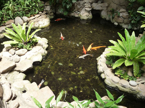 Koi pond at Fort Ilocandia