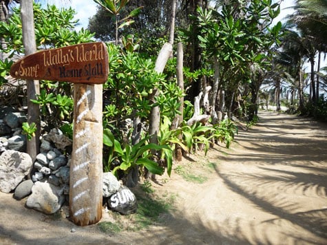 Surf shop signage