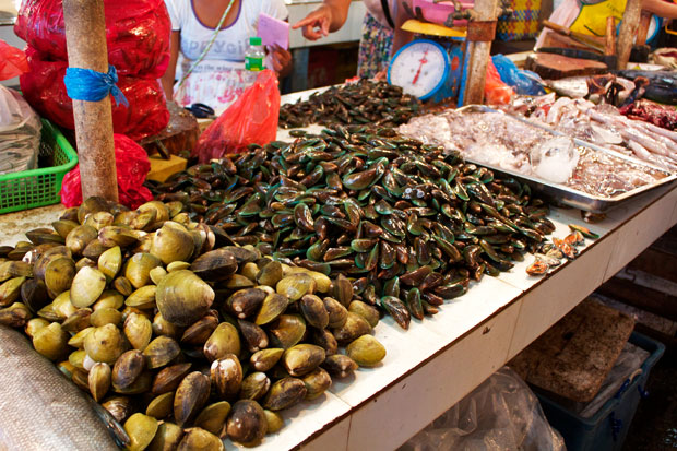 Nasugbu Public Market, Batangas