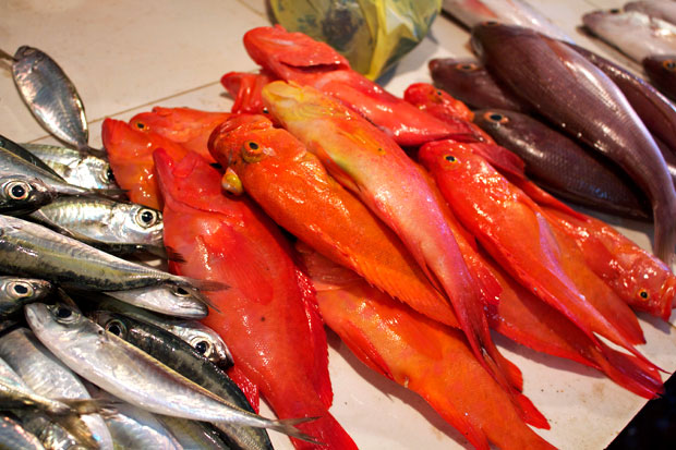 Nasugbu Public Market, Batangas