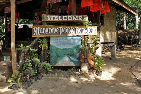 Mangrove paddle boat tour sign