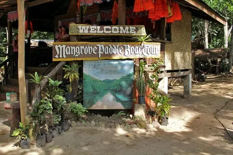 Mangrove paddle boat tour sign