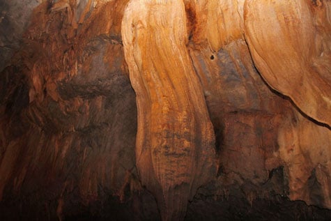 Bats hanging from stalagmites