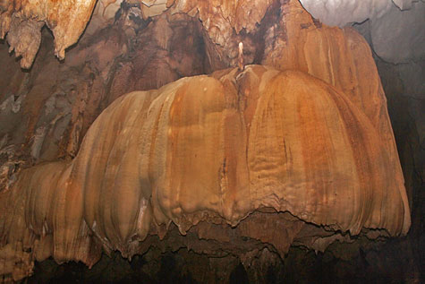 Jellyfish-looking stalactites