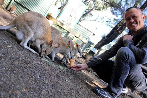 Featherdale Wildlife Park, Sydney, Australia