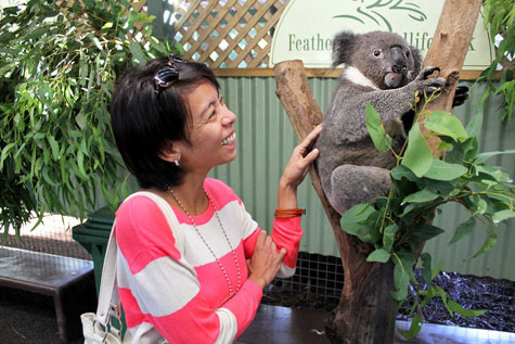 Featherdale Wildlife Park, Sydney, Australia