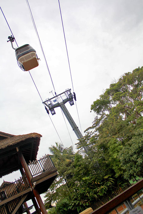 Taronga Zoo, Sydney, Australia