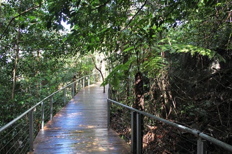 Well-built walkway in Blue Mountains