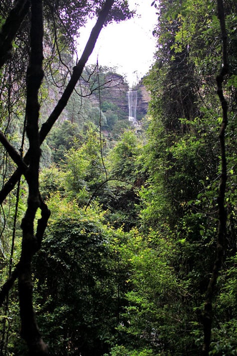 Distant shot of Katoomba Falls