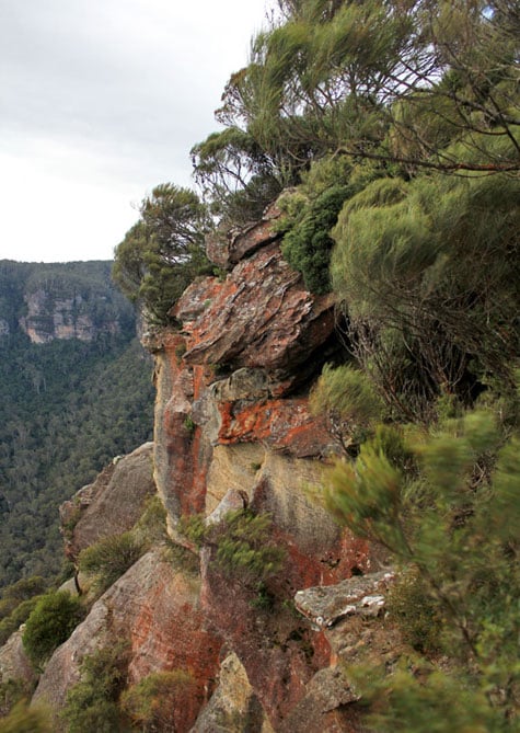 Wild Eaglehawk Lookout