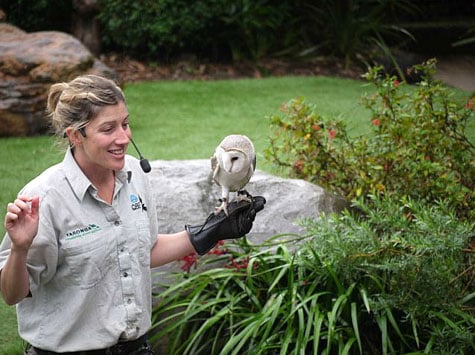 Taronga Zoo, Sydney, Australia