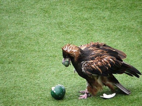 Taronga Zoo, Sydney, Australia