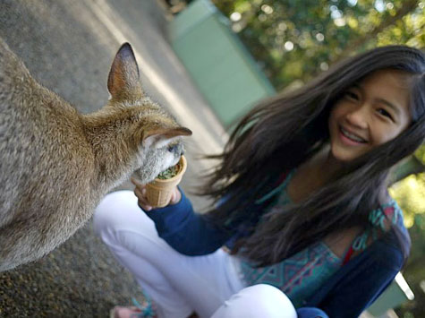 Featherdale Wildlife Park, Sydney, Australia