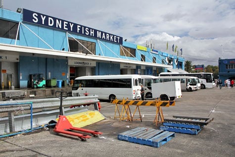 Sydney Fish Market