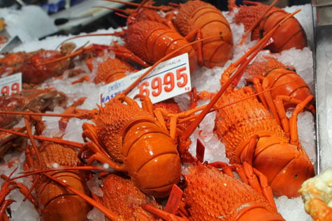 Sydney Fish Market