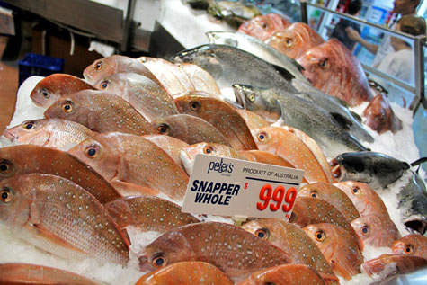 Sydney Fish Market