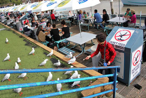 Sydney Fish Market