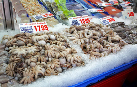 Sydney Fish Market