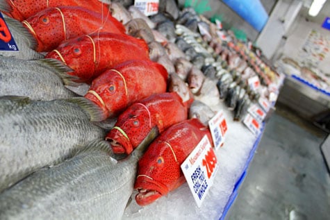 Sydney Fish Market