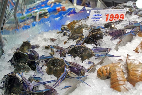 Sydney Fish Market