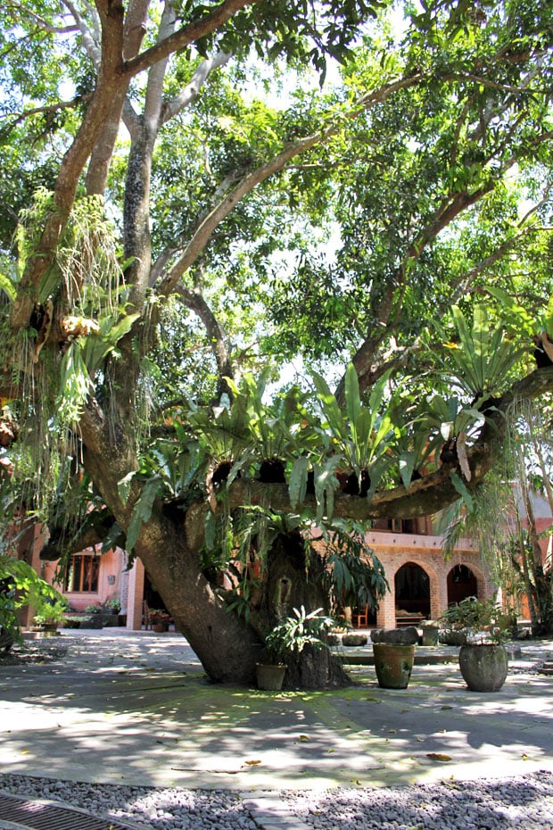 Ugu Bigyan's Secret Pottery Garden and Restaurant, Tiaong, Quezon