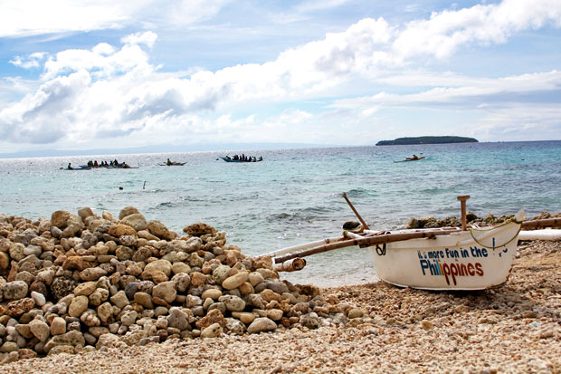 Swimming with the Whale Sharks in Oslob, Cebu, Philippines