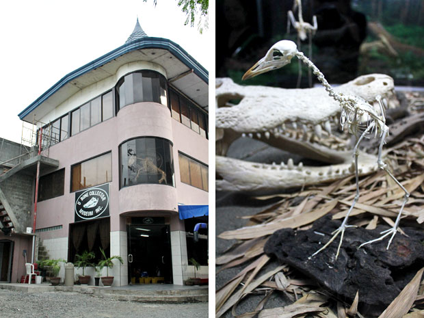 D' Bone Collector Museum, Davao City