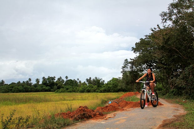 Dev's Adventure Tours:  Nature Cycling, Jungle Trekking, & Mangrove Kayaking in Langkawi, Malaysia