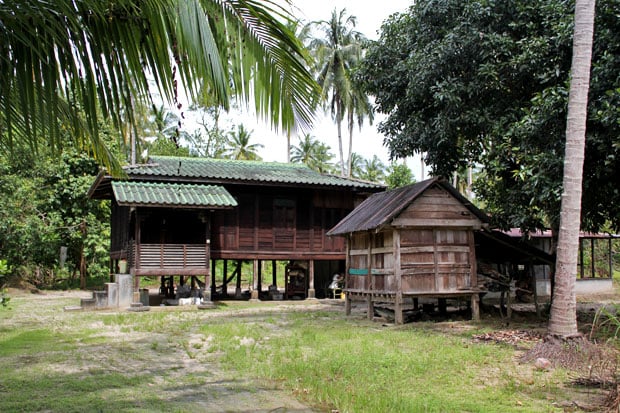 Dev's Adventure Tours:  Nature Cycling, Jungle Trekking, & Mangrove Kayaking in Langkawi, Malaysia