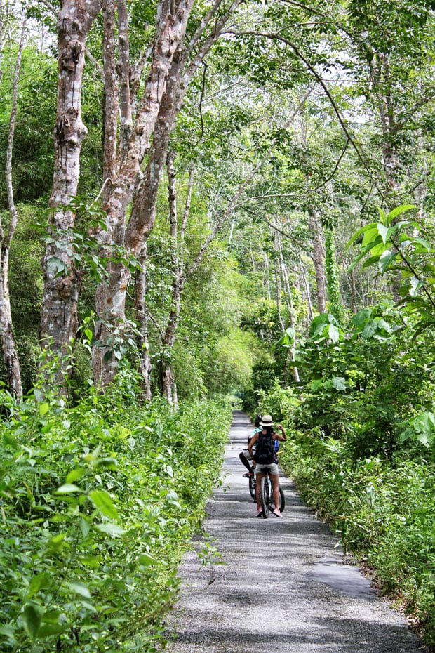 Dev's Adventure Tours:  Nature Cycling, Jungle Trekking, & Mangrove Kayaking in Langkawi, Malaysia