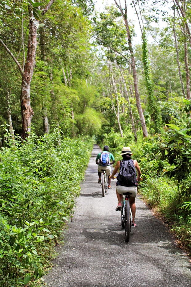 Dev's Adventure Tours:  Nature Cycling, Jungle Trekking, & Mangrove Kayaking in Langkawi, Malaysia