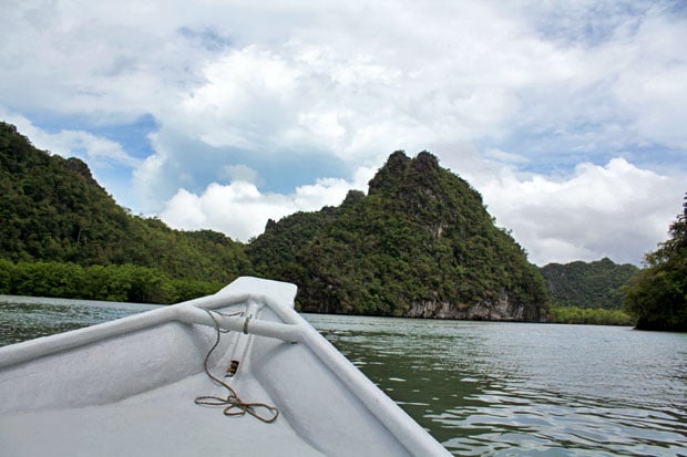 Dev's Adventure Tours:  Nature Cycling, Jungle Trekking, & Mangrove Kayaking in Langkawi, Malaysia