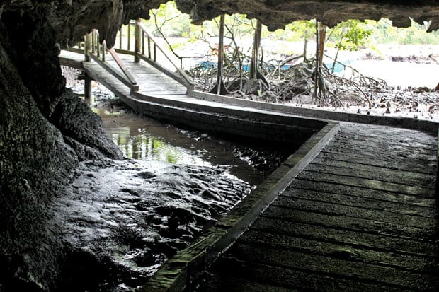 Dev's Adventure Tours:  Nature Cycling, Jungle Trekking, & Mangrove Kayaking in Langkawi, Malaysia