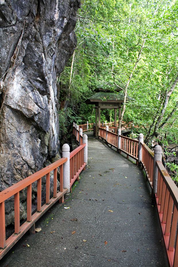 Dev's Adventure Tours:  Nature Cycling, Jungle Trekking, & Mangrove Kayaking in Langkawi, Malaysia