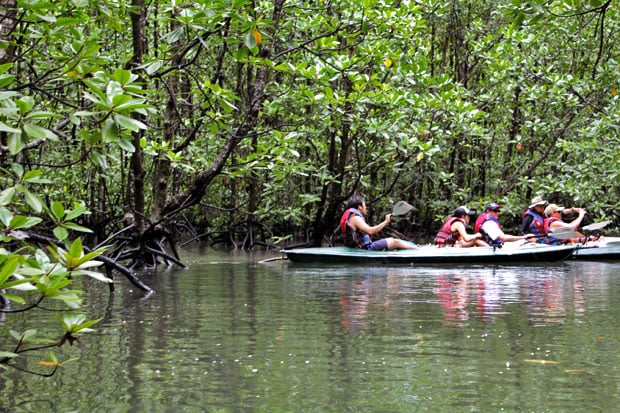 Dev's Adventure Tours:  Nature Cycling, Jungle Trekking, & Mangrove Kayaking in Langkawi, Malaysia