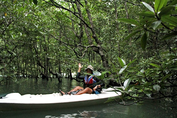 Dev's Adventure Tours:  Nature Cycling, Jungle Trekking, & Mangrove Kayaking in Langkawi, Malaysia