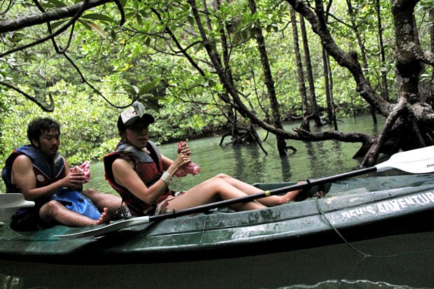 Dev's Adventure Tours:  Nature Cycling, Jungle Trekking, & Mangrove Kayaking in Langkawi, Malaysia