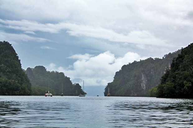 Dev's Adventure Tours:  Nature Cycling, Jungle Trekking, & Mangrove Kayaking in Langkawi, Malaysia