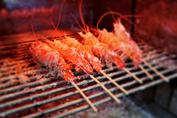 Urban Shrimping, Taipei City